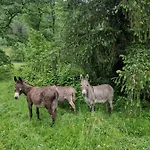 Maison Du Bonheur بيت للعطل Gan