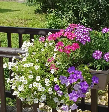 Hébergement de vacances Maison Du Bonheur *