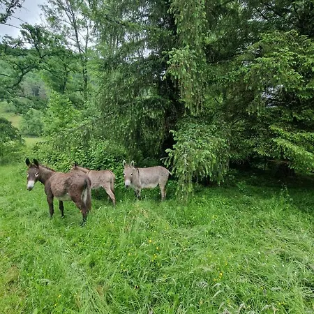 Hébergement de vacances Maison Du Bonheur