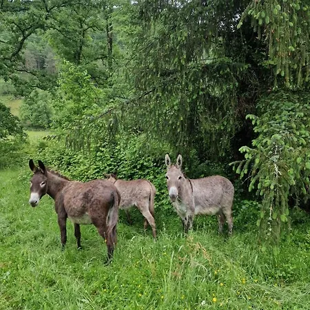 Maison Du Bonheur Hébergement de vacances Gan
