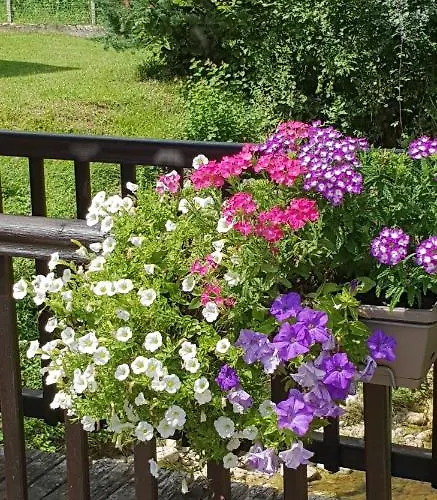 Дом отдыха Maison Du Bonheur *