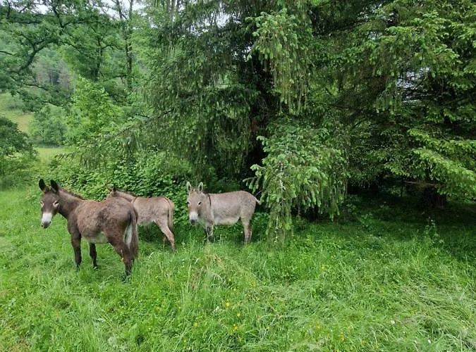 Дом отдыха Maison Du Bonheur