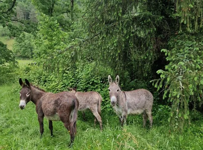 Maison Du Bonheur Ferienhaus Gan